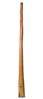 Tristan O'Meara Didgeridoo (TM274)
